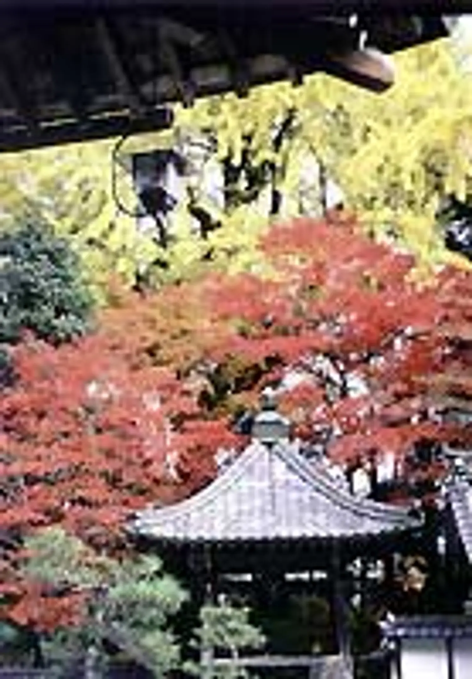 長安寺（もみじ寺）の紅葉