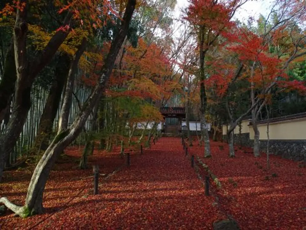 地蔵院(竹寺)の外観