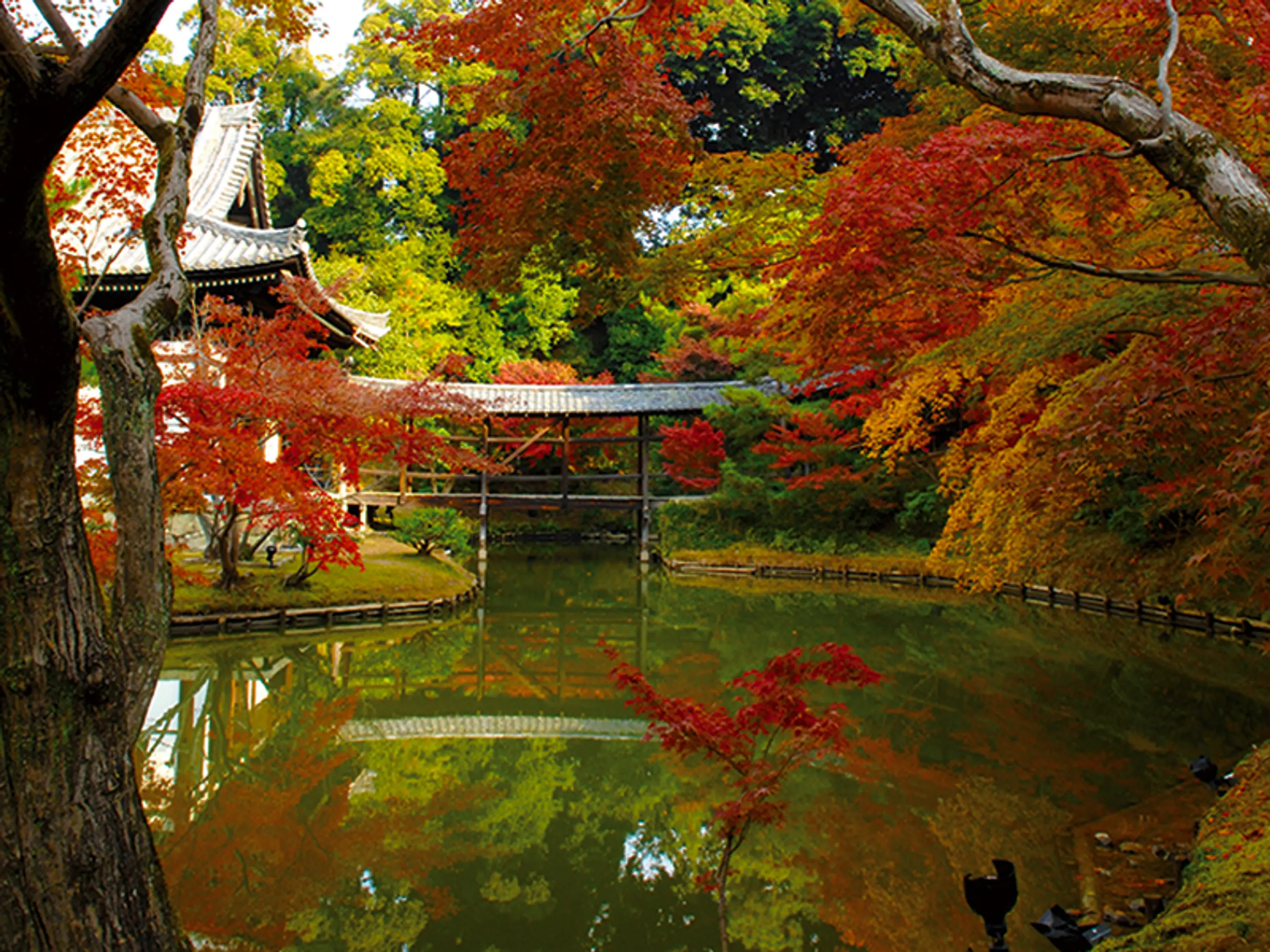 高台寺の紅葉