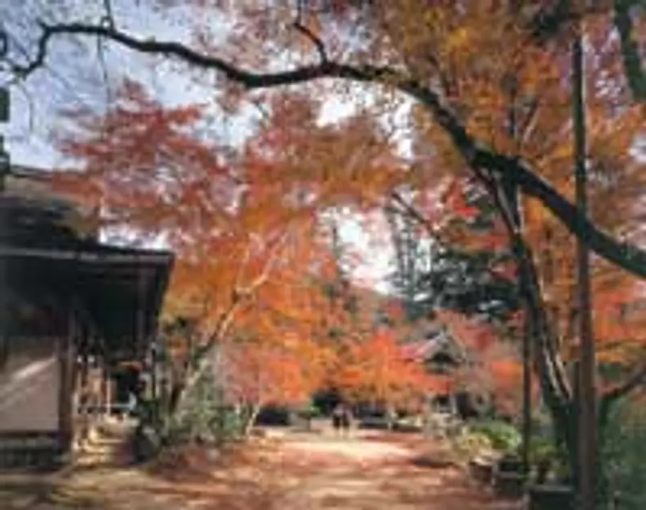 【西明寺】紅葉