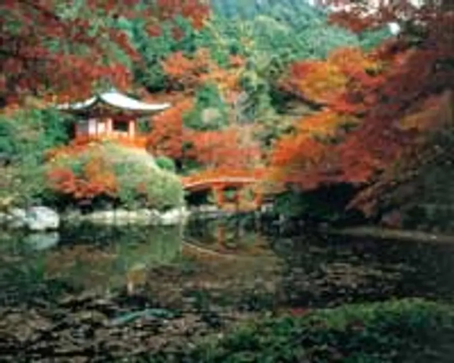 【醍醐寺】紅葉