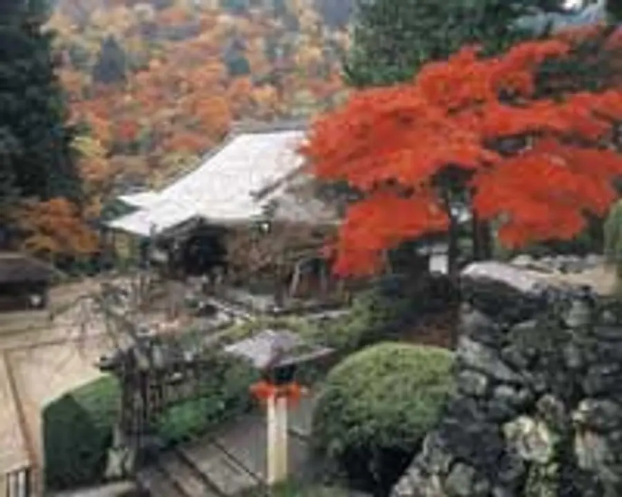 【善峯寺】紅葉