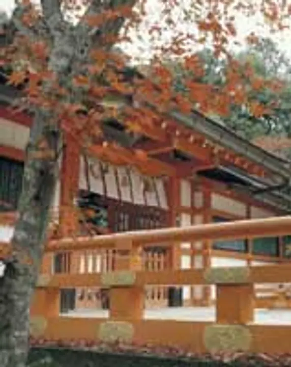 【大原野神社】紅葉