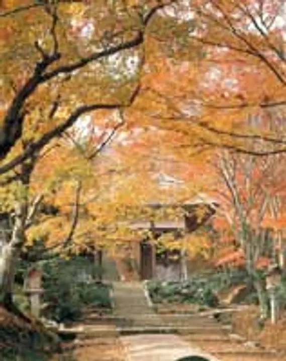 【常寂光寺】紅葉