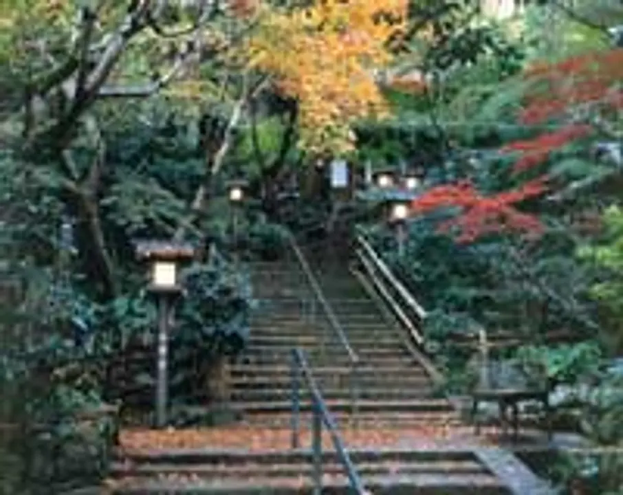 【大本山東福寺】紅葉