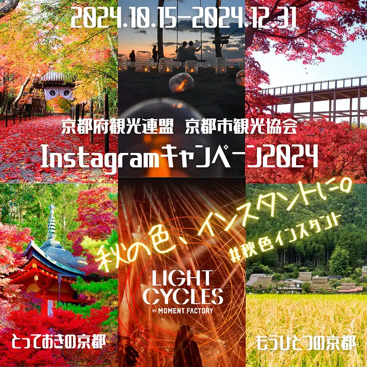 令和６年度Instagramキャンペーン　イメージ