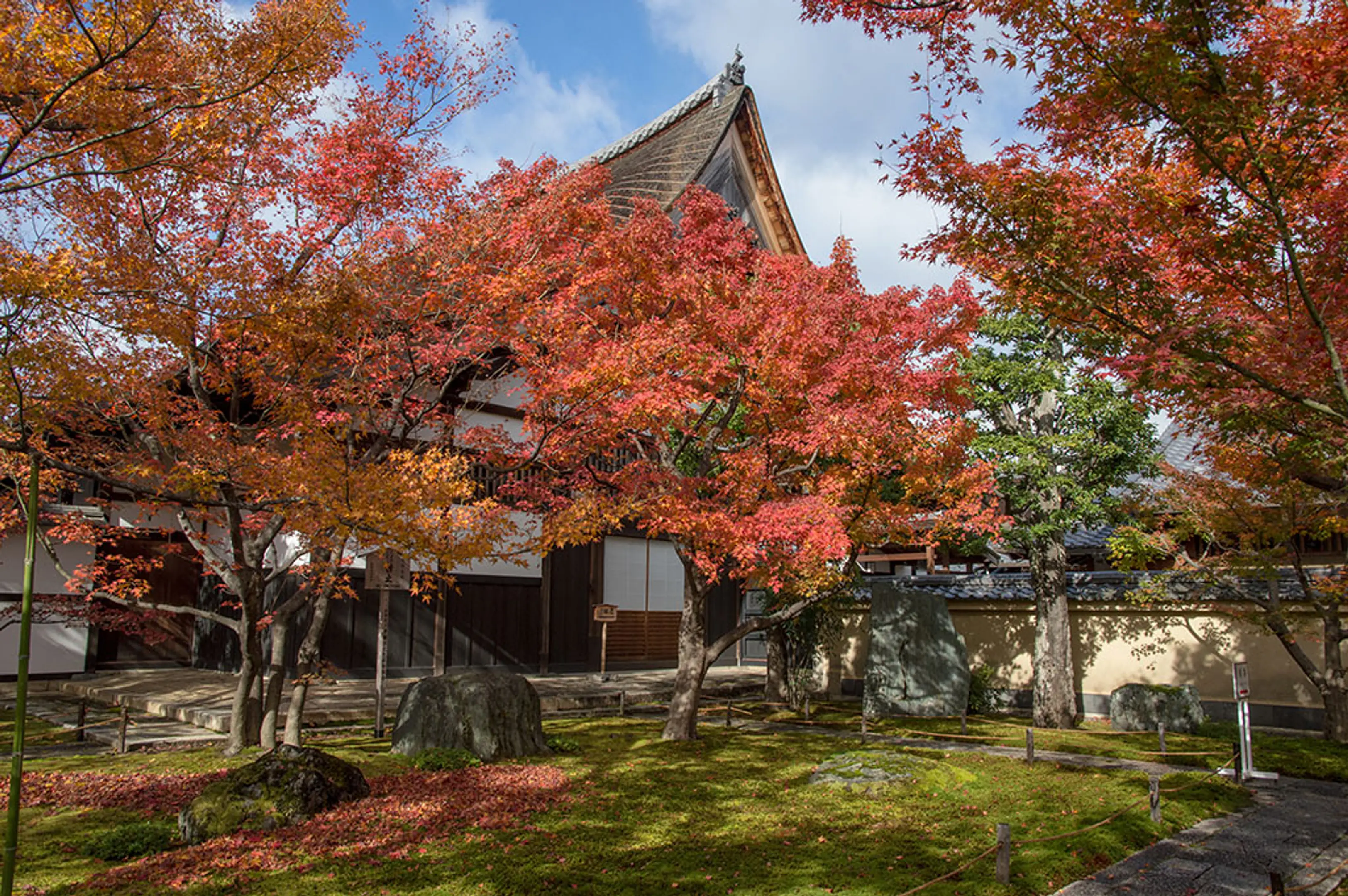 【大徳寺黄梅院】紅葉