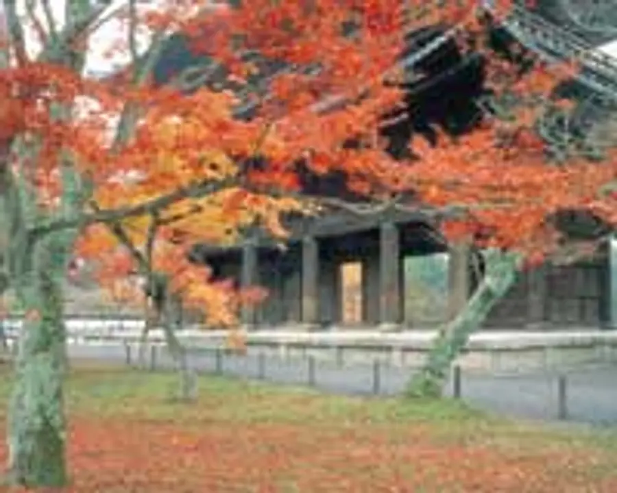 【大本山南禅寺】紅葉