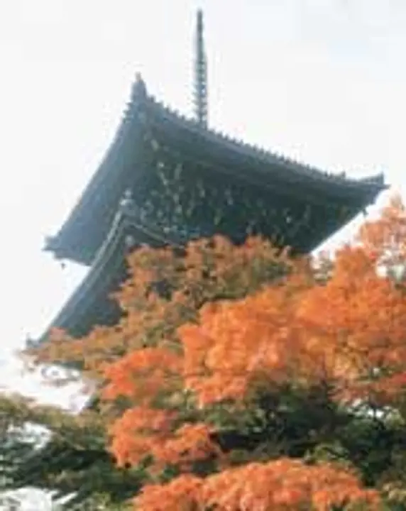 【真如堂（真正極楽寺）】紅葉