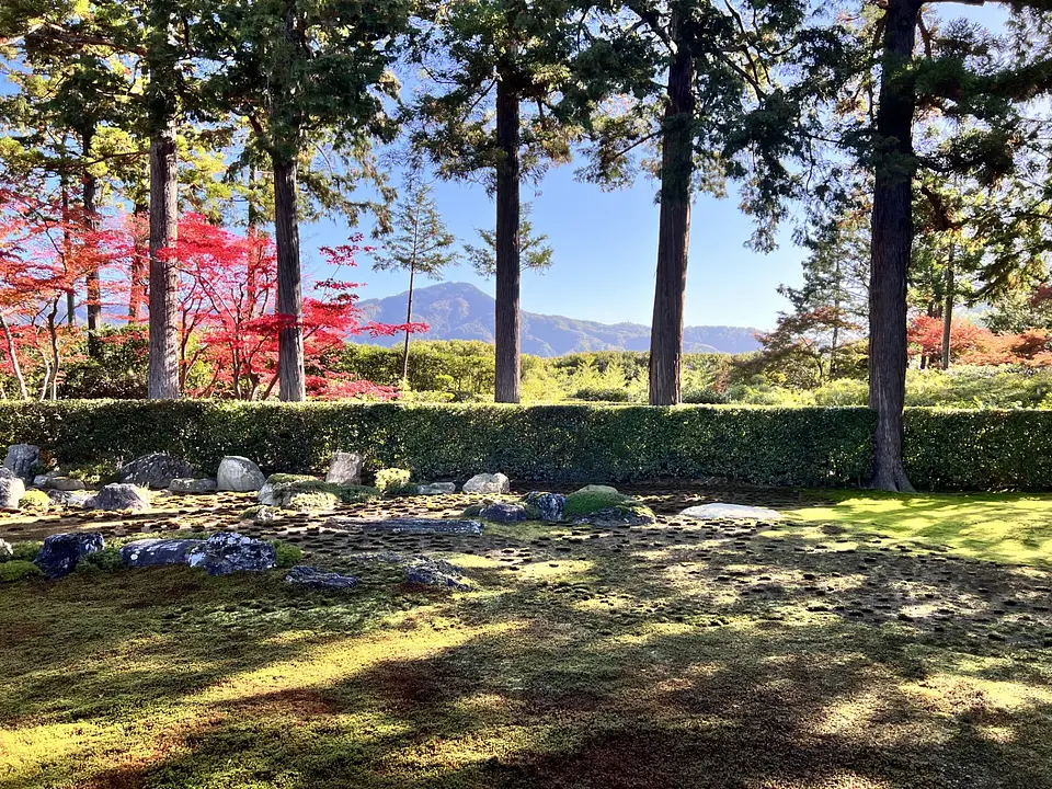 【圓通寺】紅葉