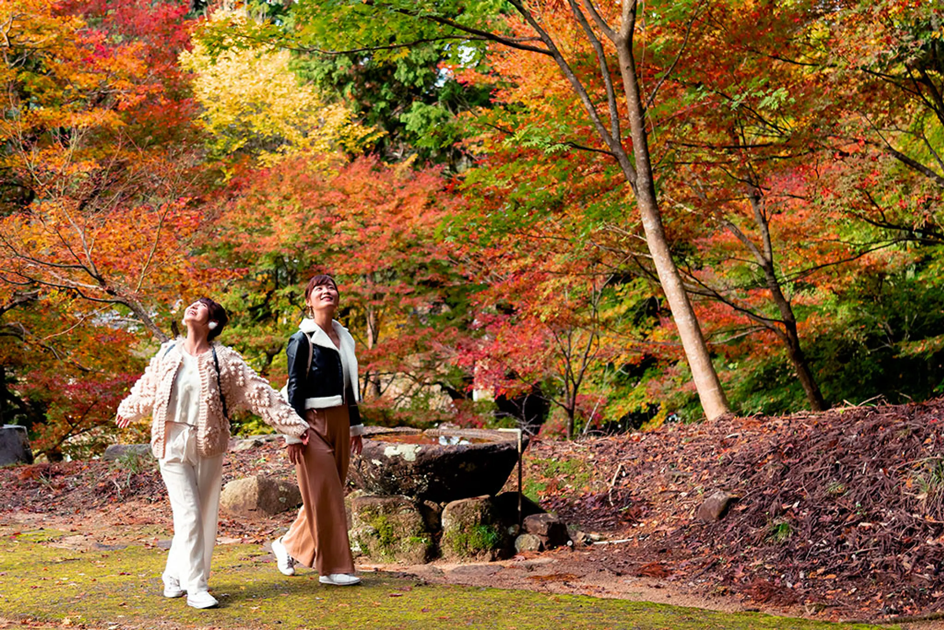 金刀比羅神社の紅葉