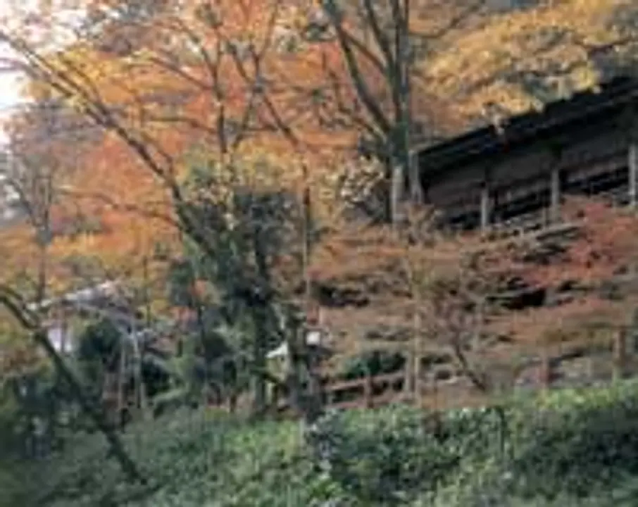 【貴船神社】紅葉