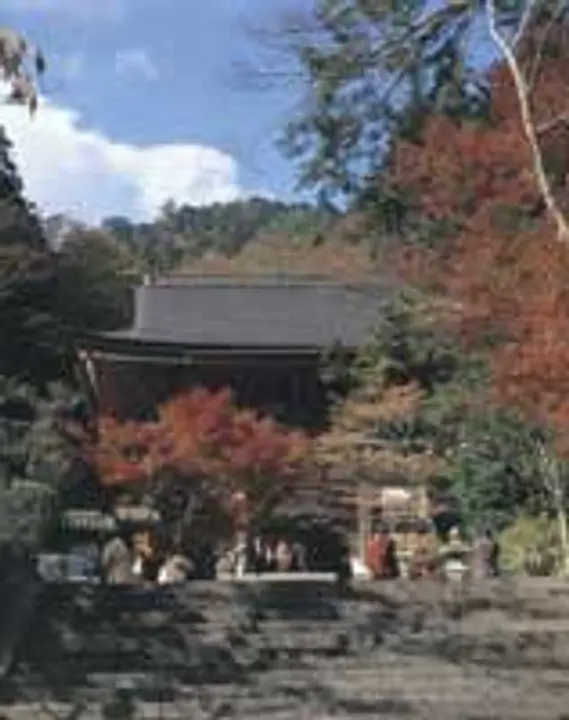 【鞍馬寺】紅葉