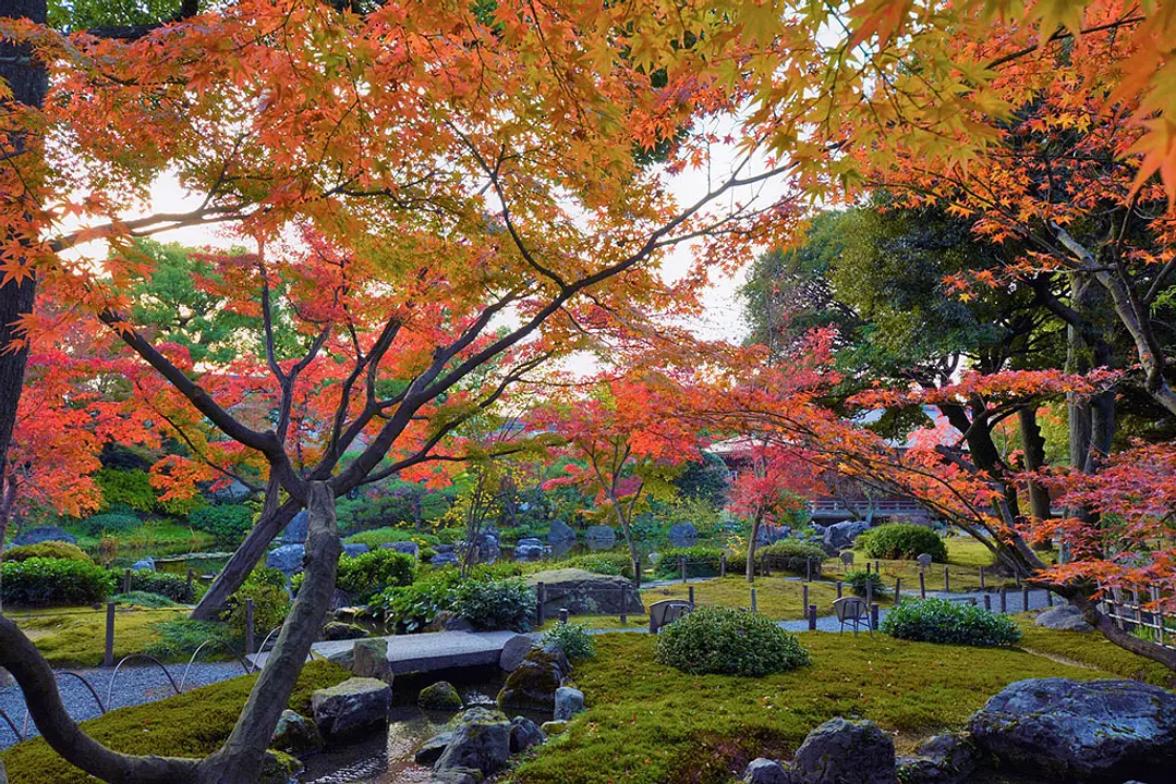 城南宮の紅葉