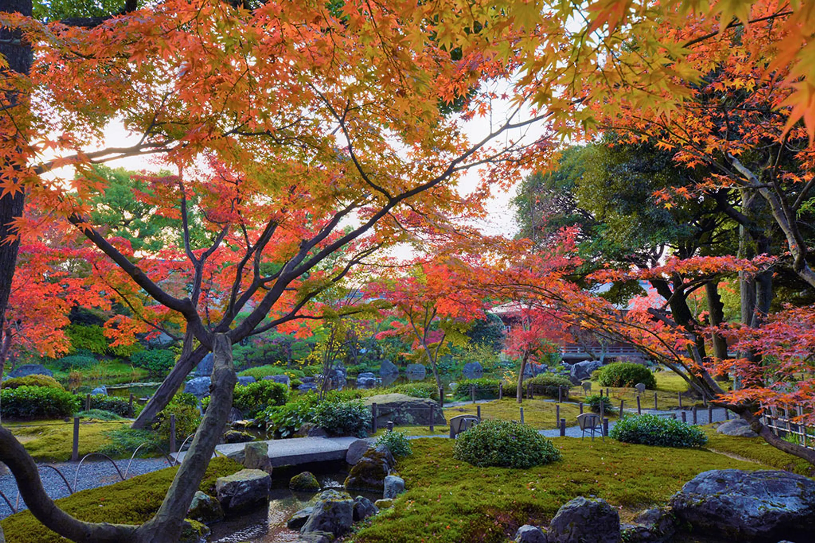 城南宮の紅葉