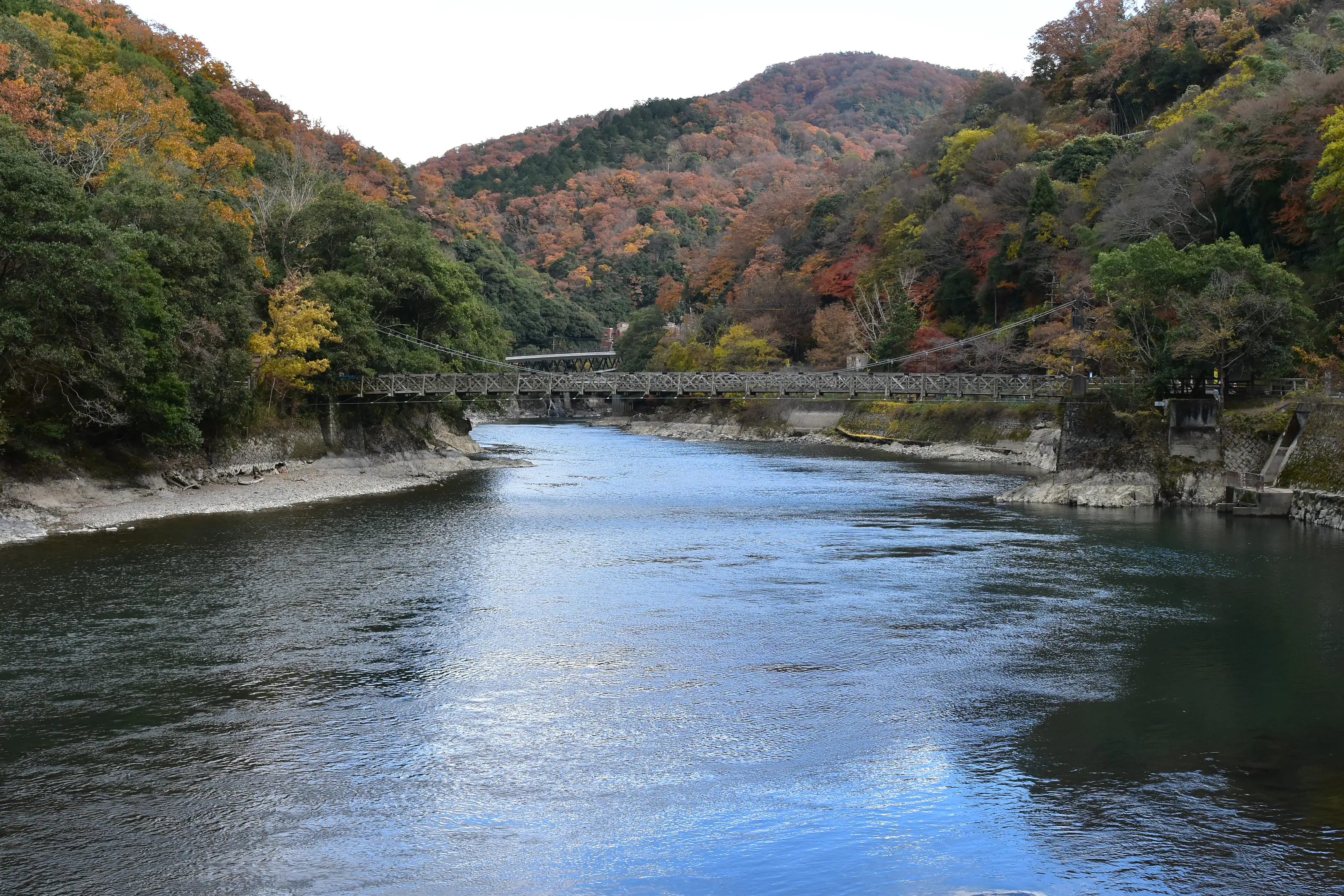 【宇治川ライン一帯】紅葉