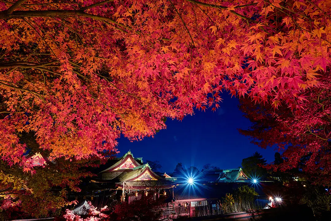 北野天満宮の紅葉