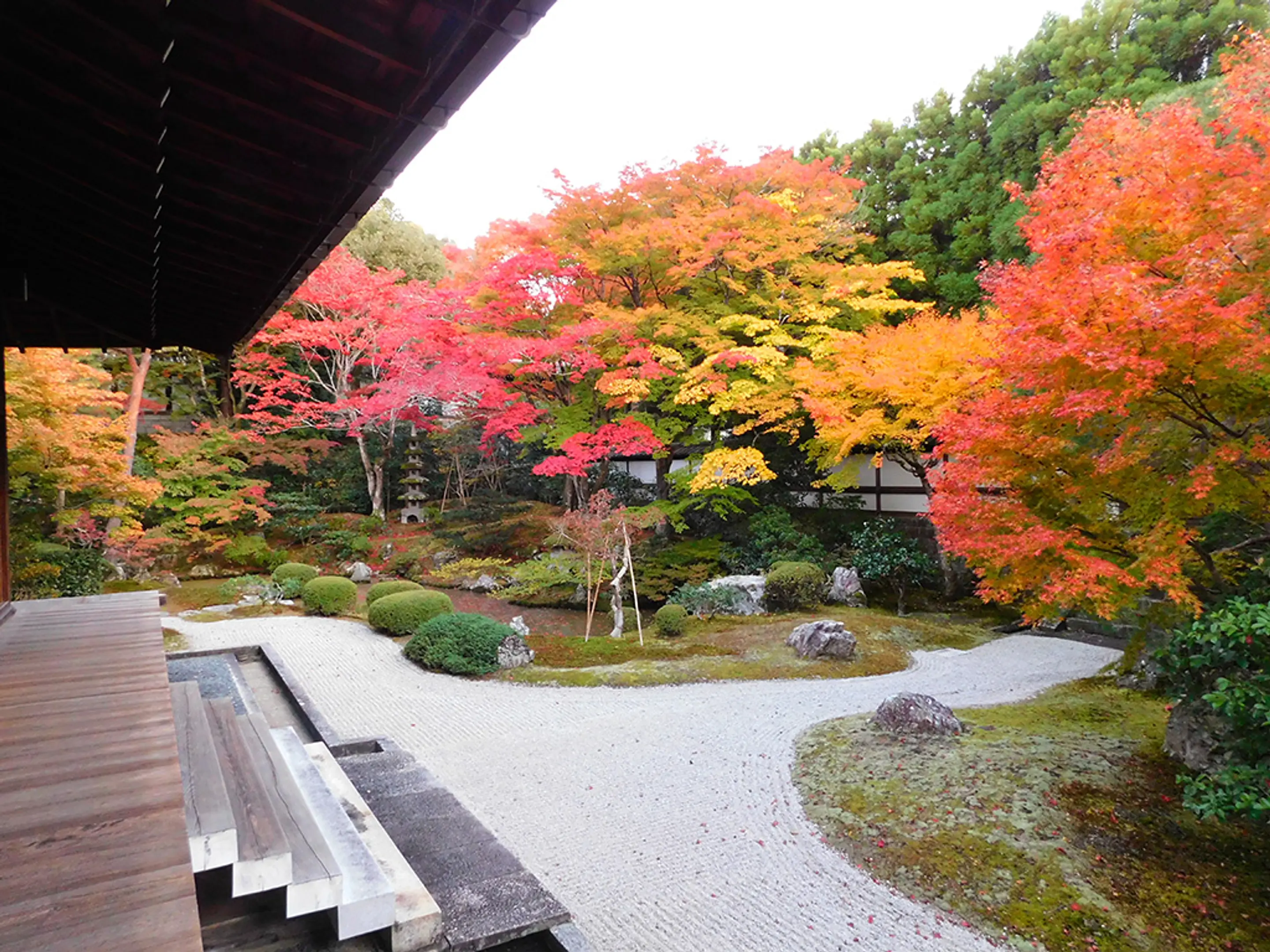 【泉涌寺】紅葉