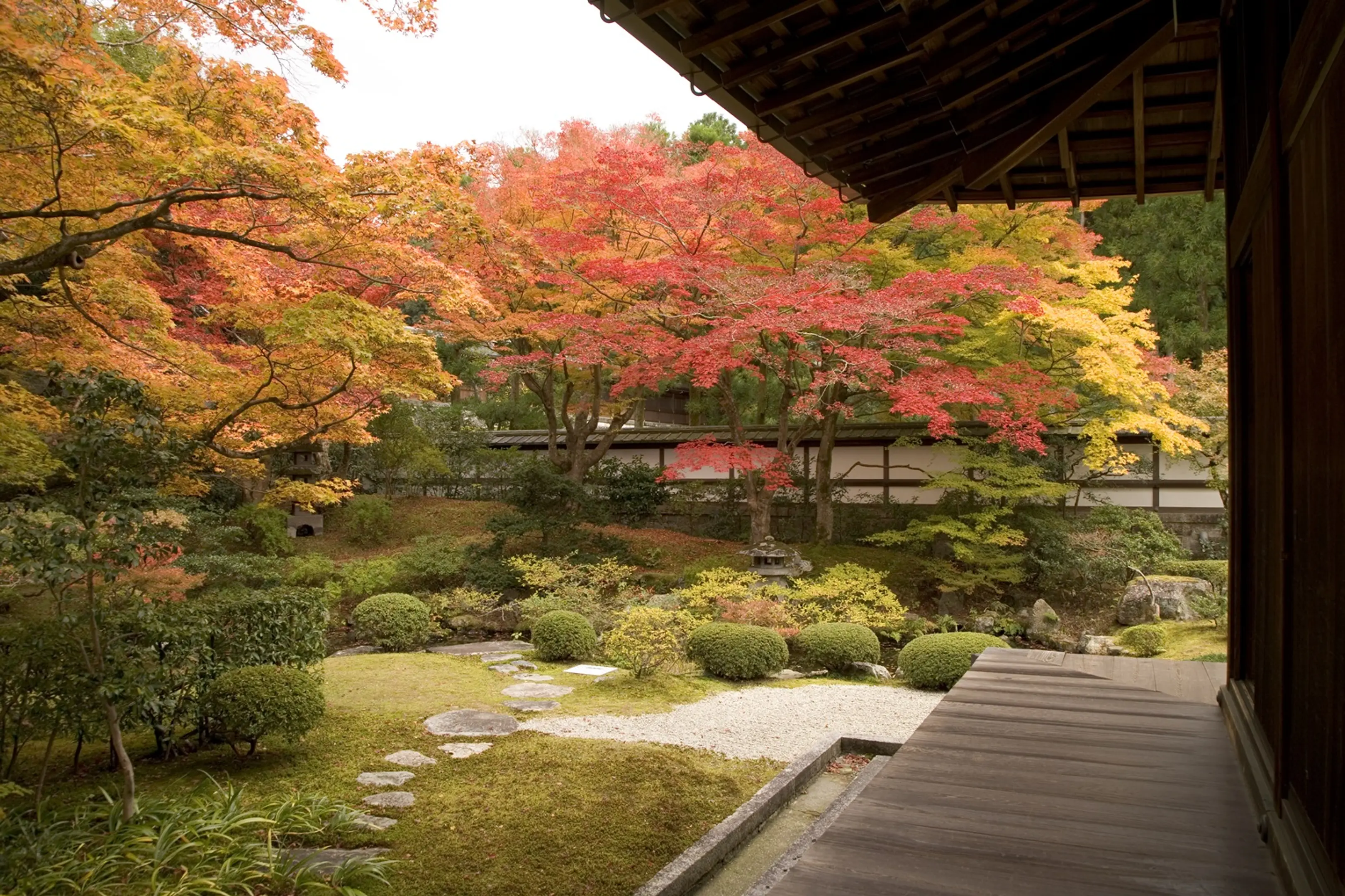 【泉涌寺】紅葉