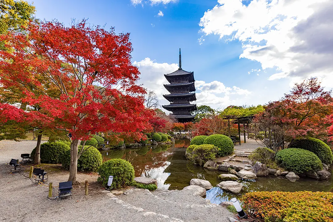 【教王護国寺（東寺）】紅葉