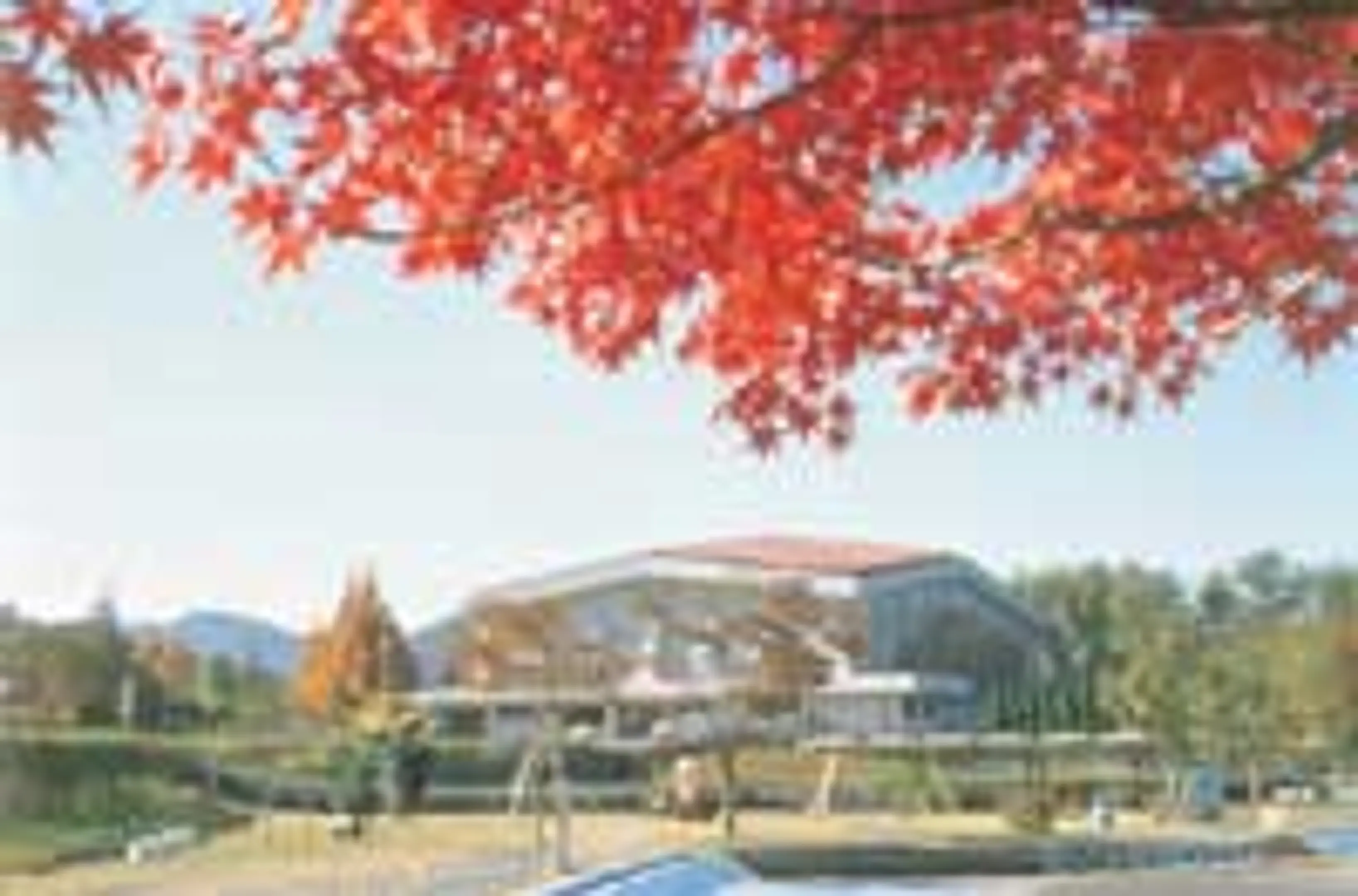 京都府立丹波自然運動公園の紅葉