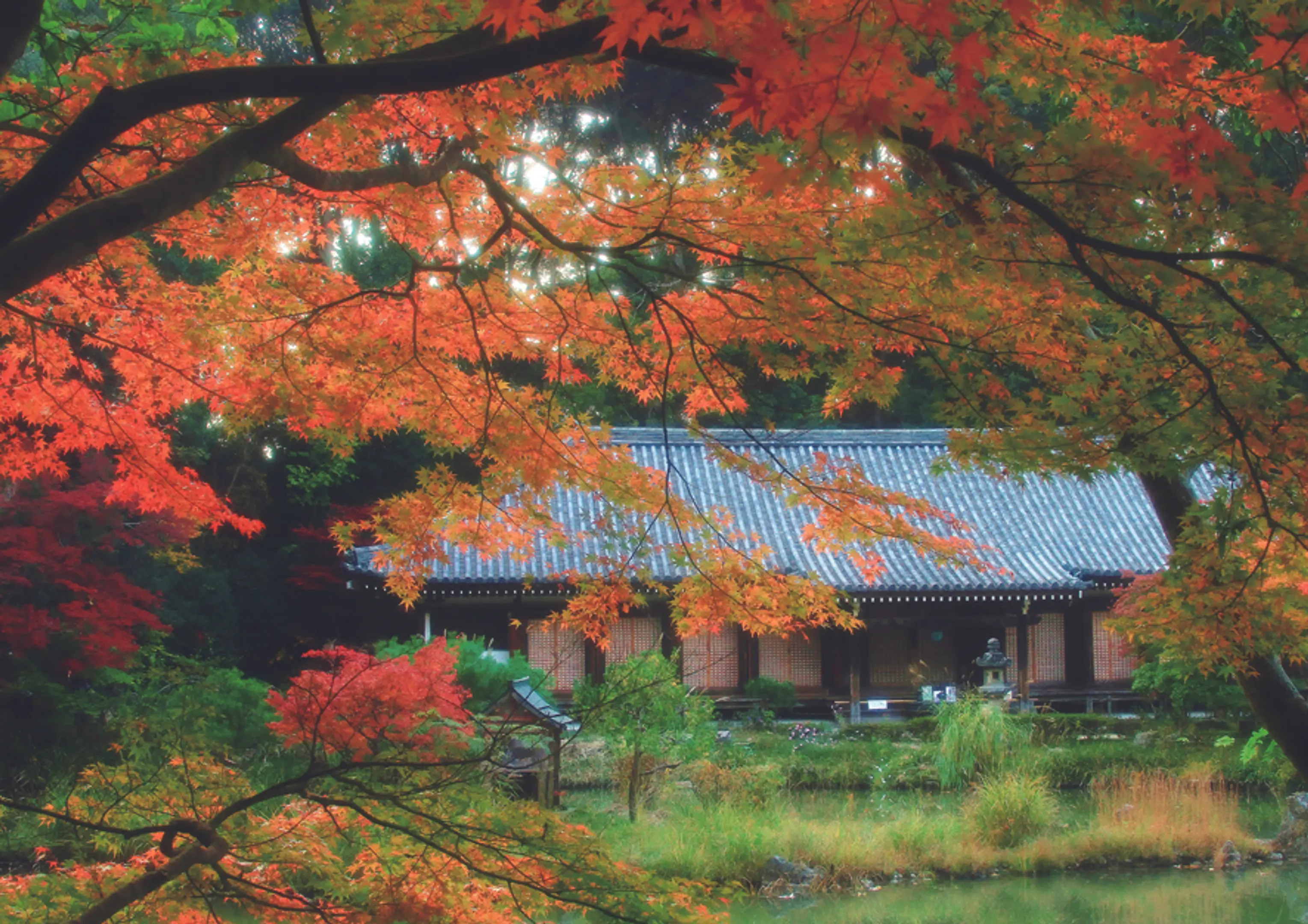 浄瑠璃寺の紅葉