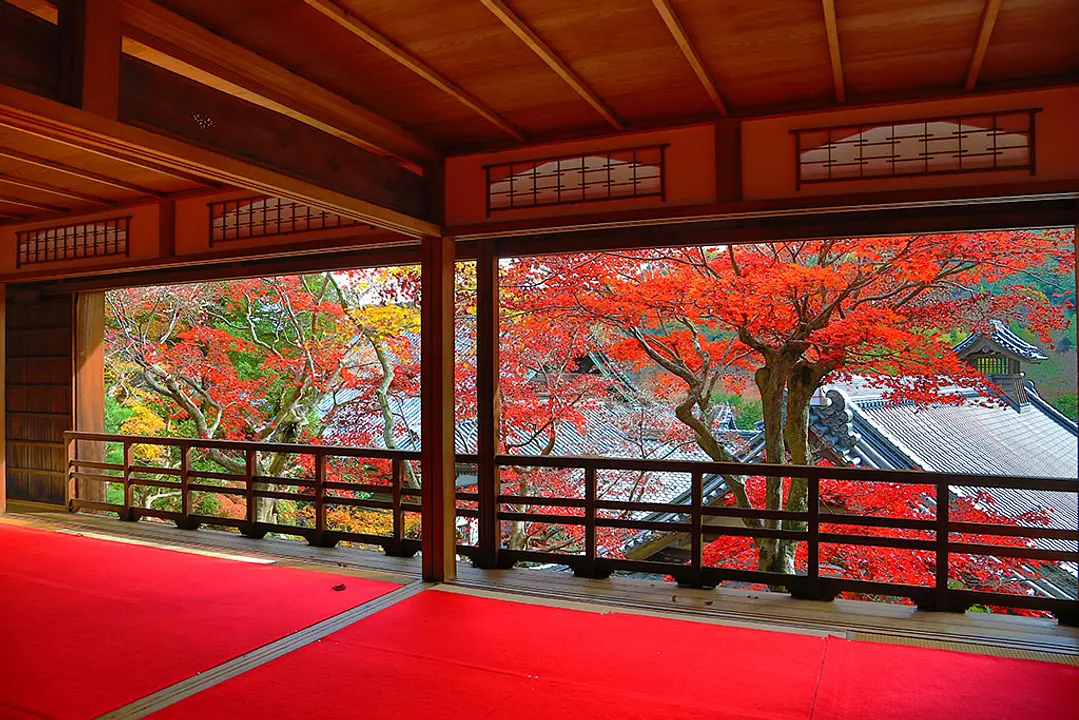 柳谷観音（楊谷寺）の紅葉