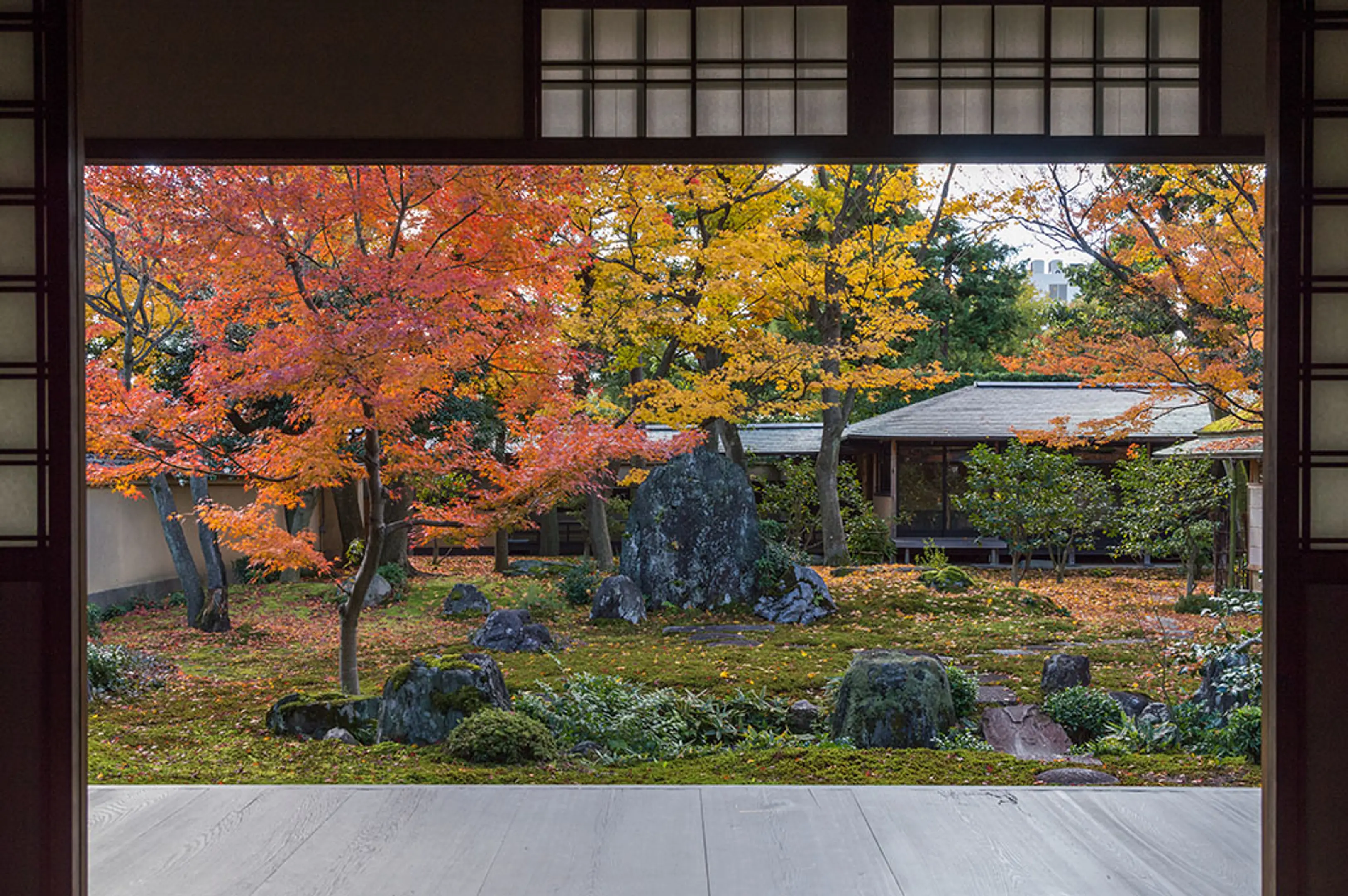 【大徳寺黄梅院】紅葉