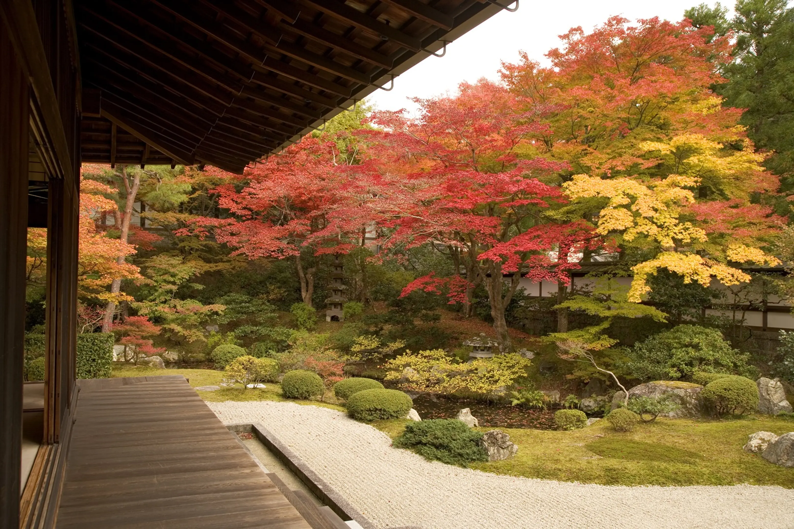 【泉涌寺】紅葉