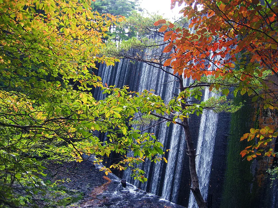 るり渓谷一帯の紅葉