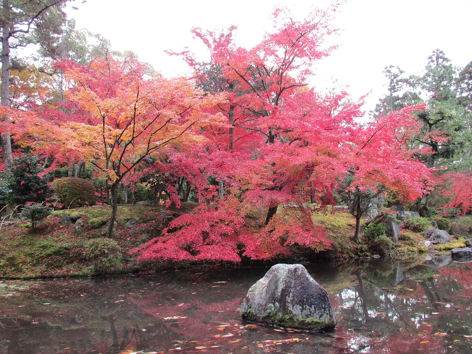 【等持院】紅葉