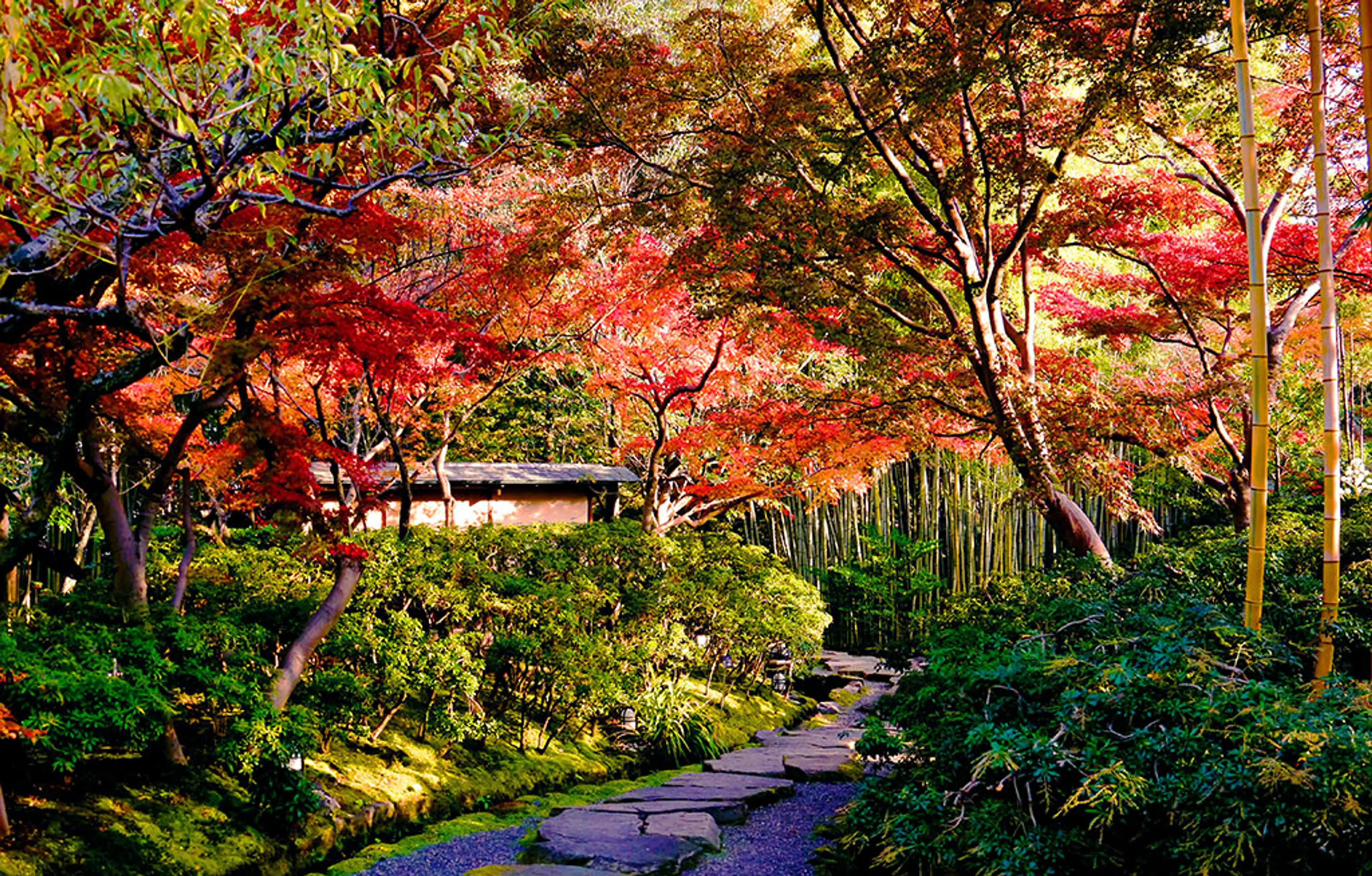 松花堂庭園の紅葉