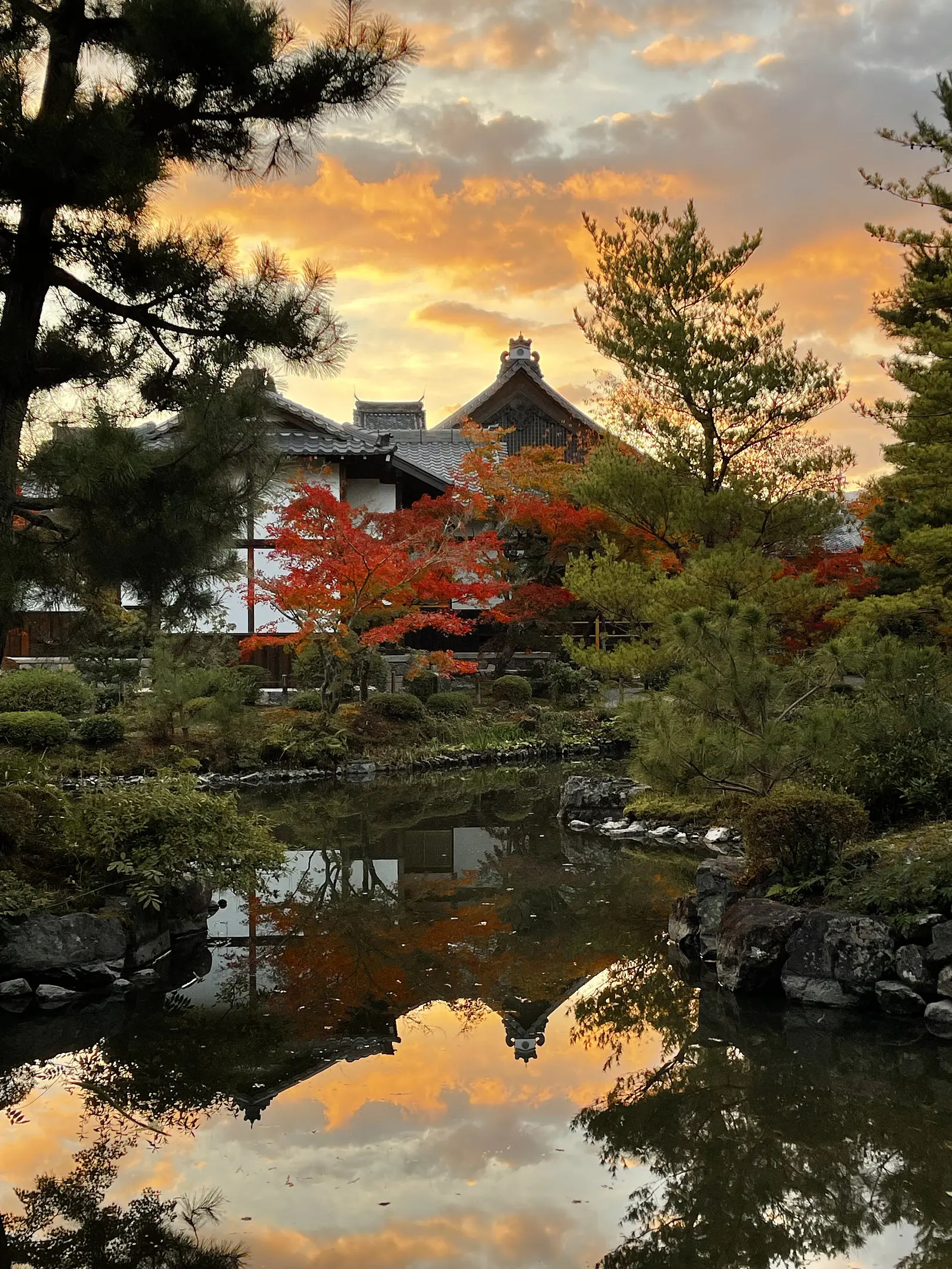 【等持院】紅葉