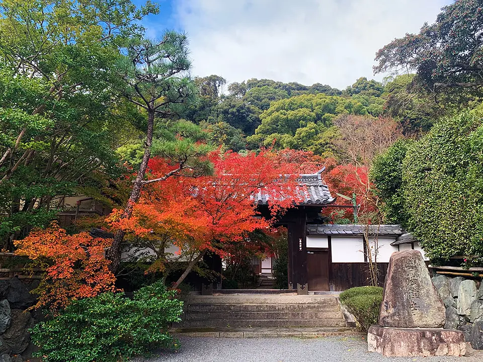 善法律寺(紅葉寺)の紅葉