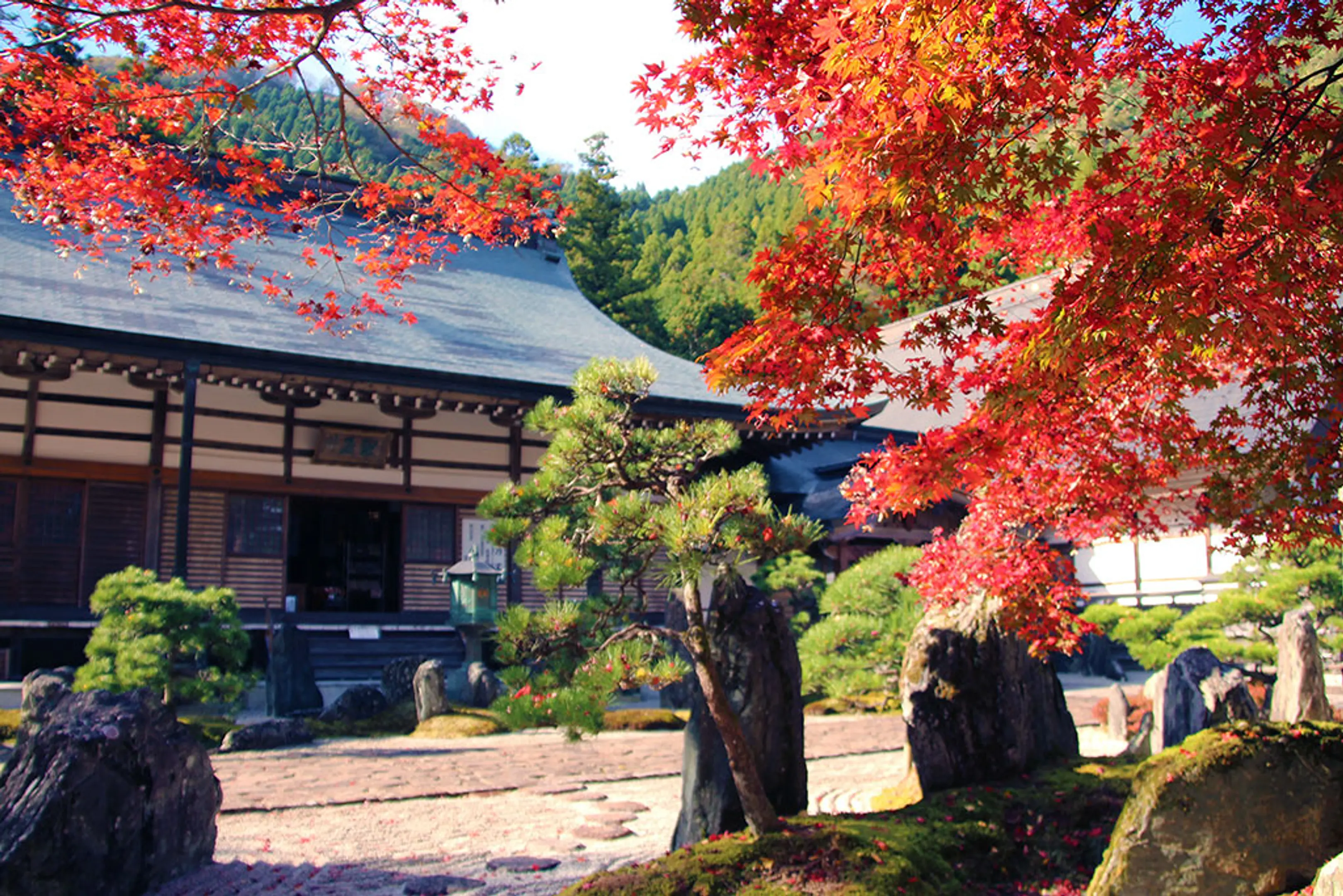 長安寺（もみじ寺）の紅葉