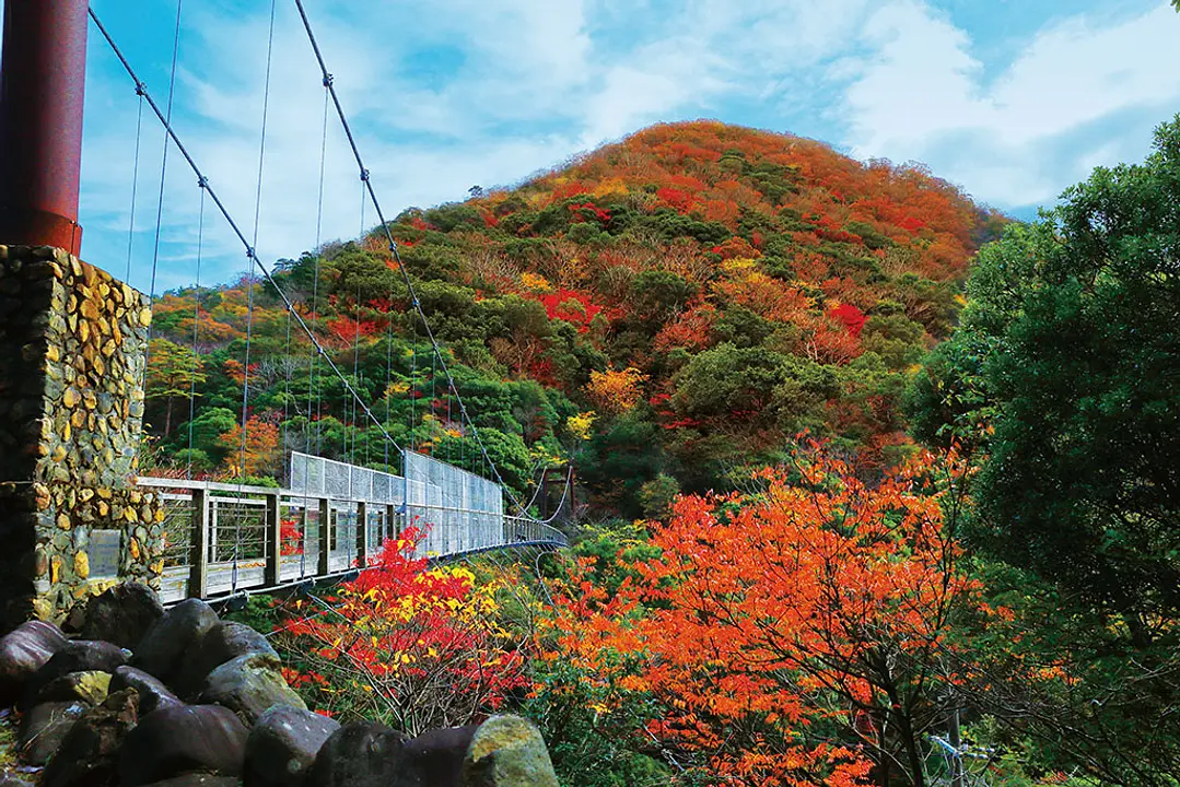 二瀬川渓流一帯の紅葉