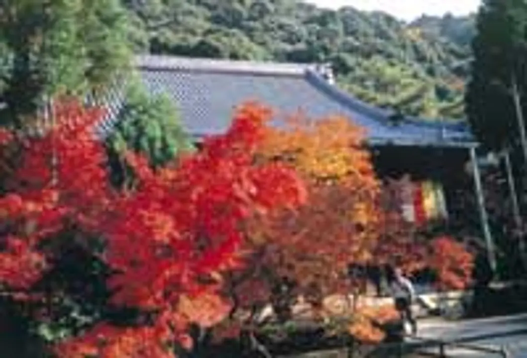 【永観堂（禅林寺）】紅葉