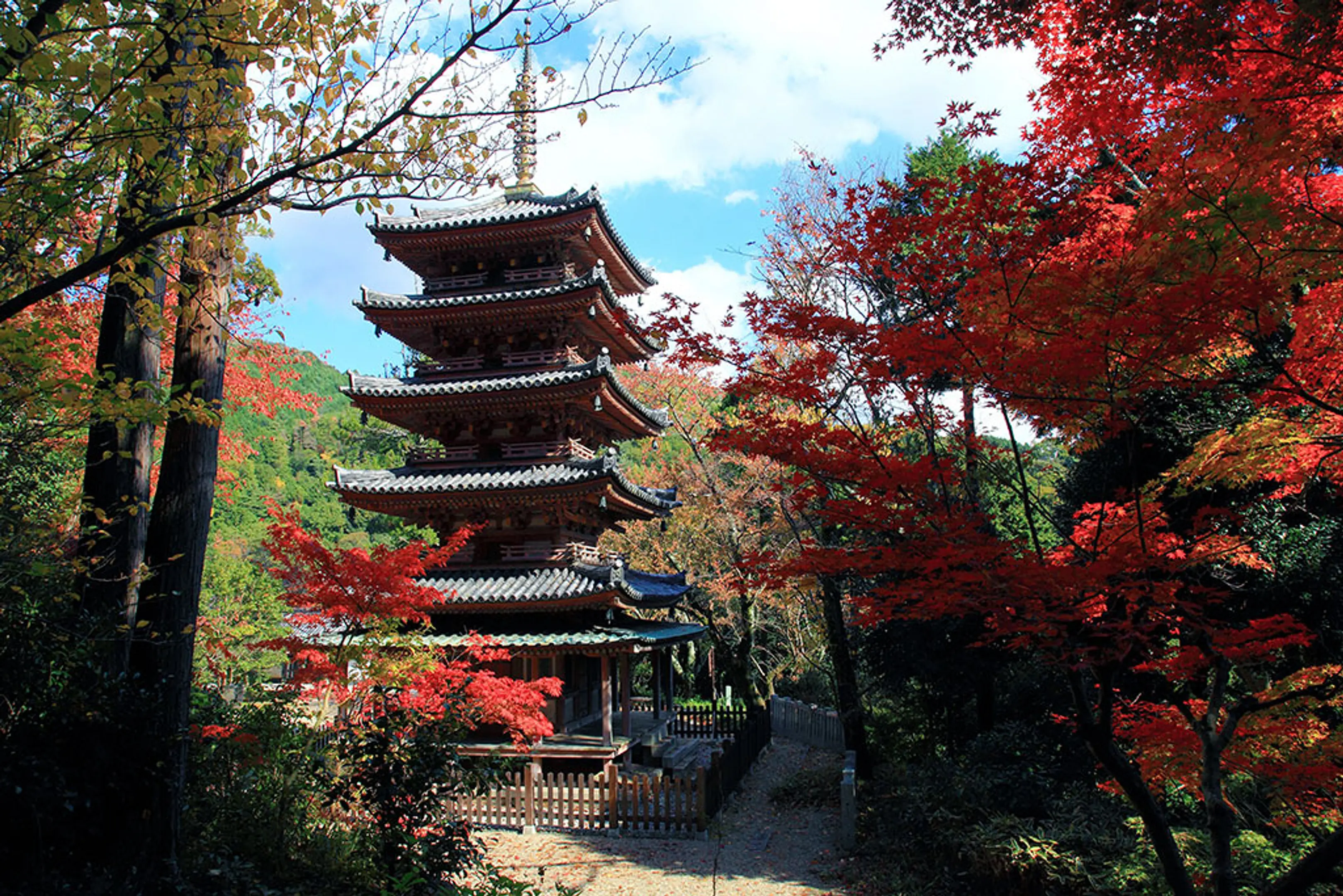 海住山寺の紅葉