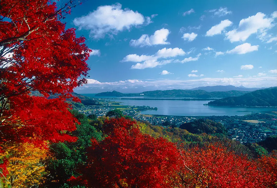 大内峠一字観公園の紅葉