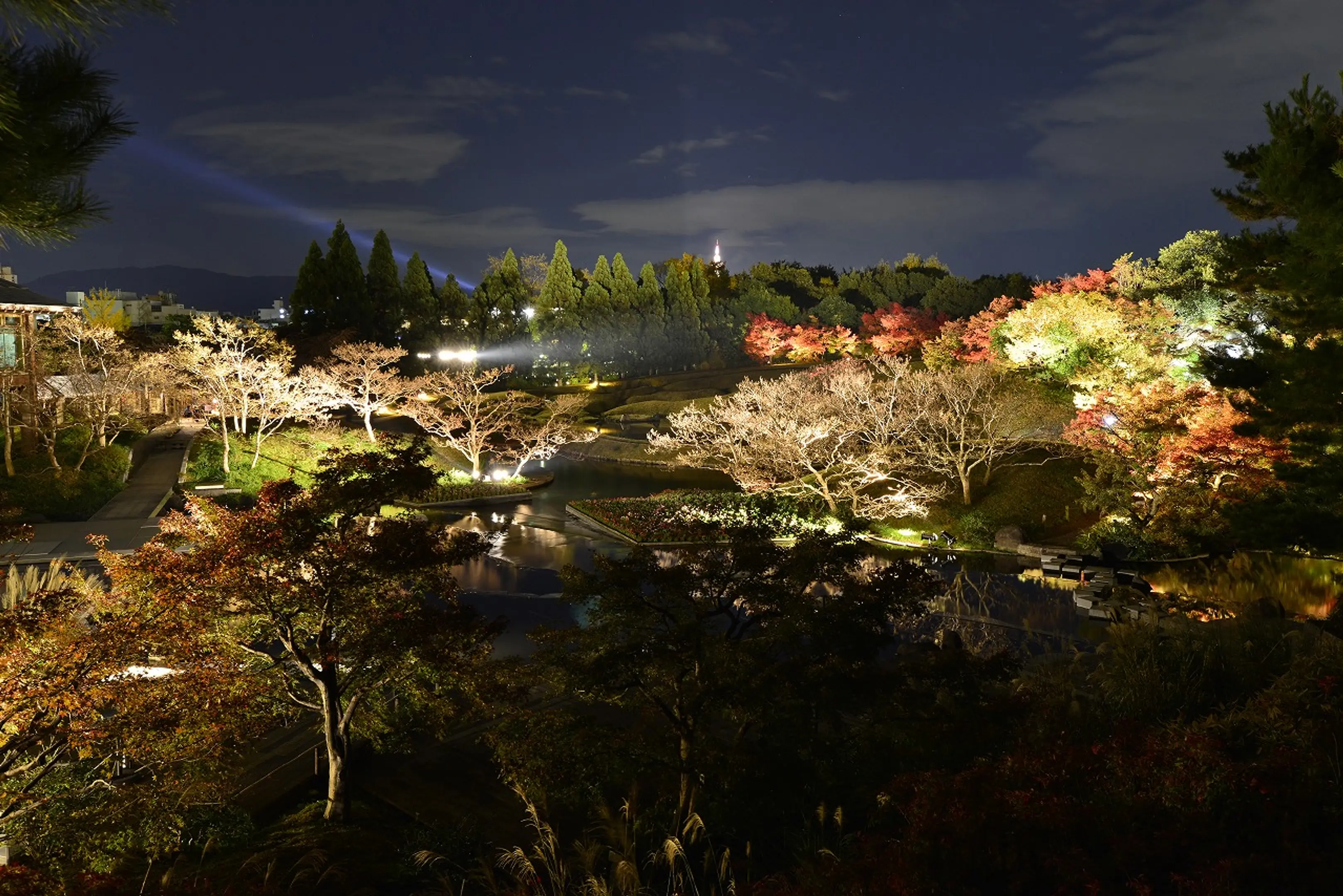 【梅小路公園】紅葉