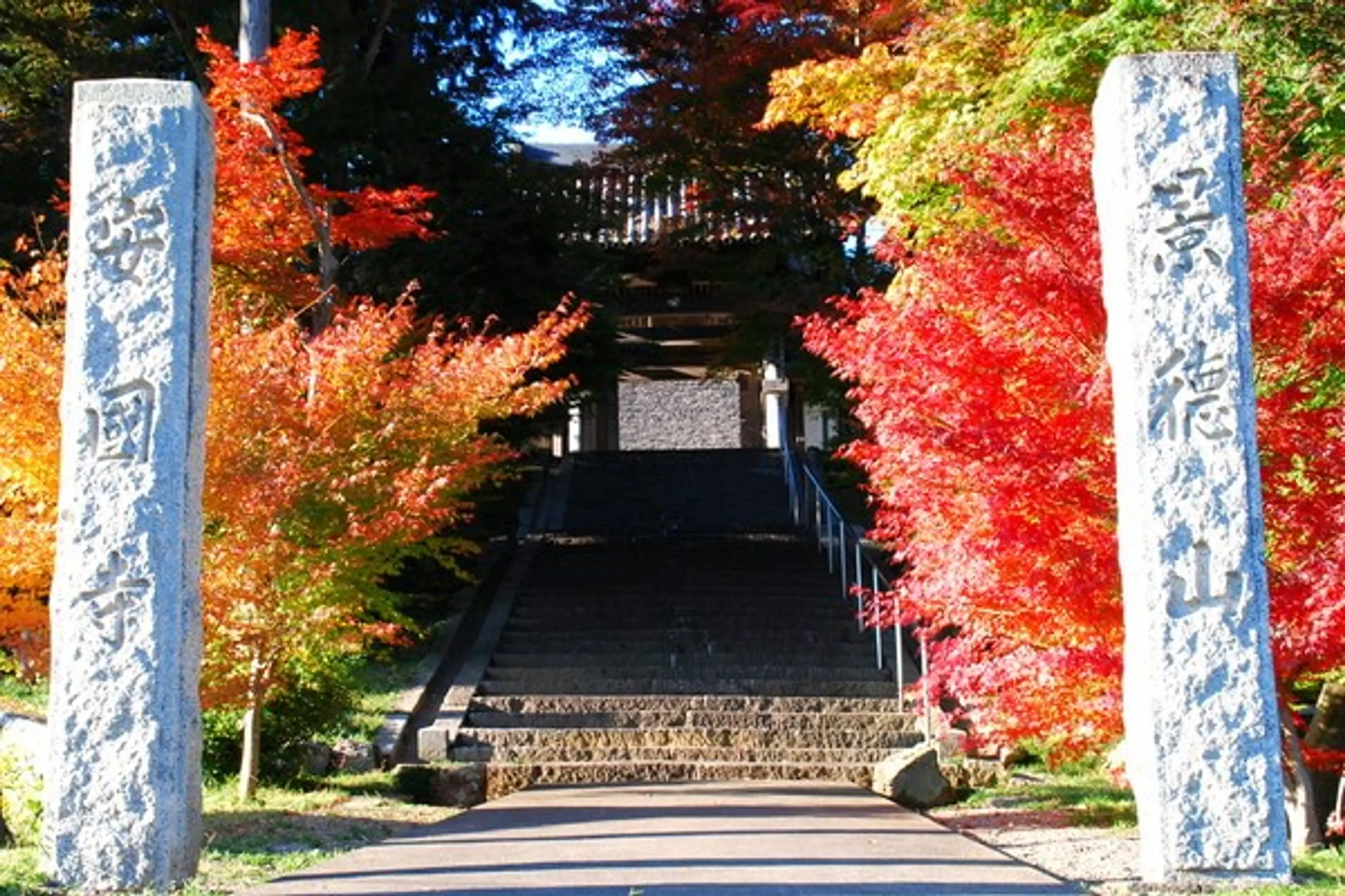 【安国寺】紅葉