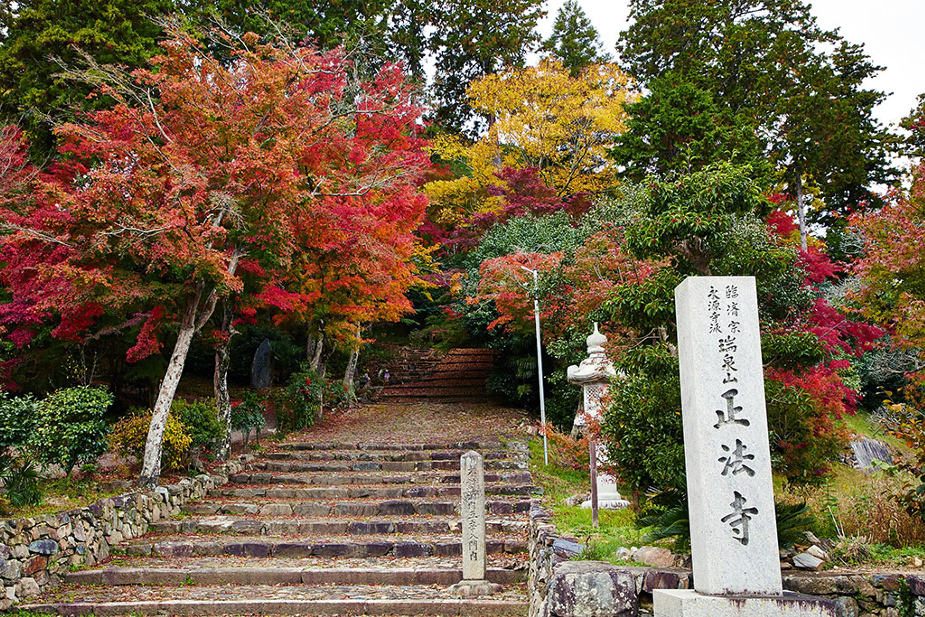 正法寺（和束町）の紅葉