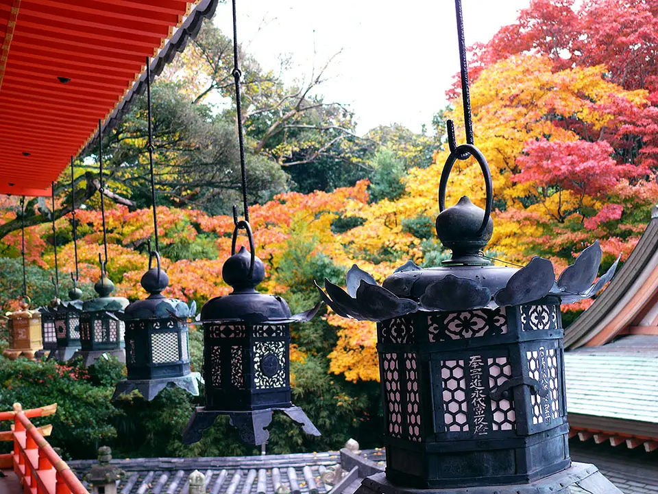 石清水八幡宮の紅葉