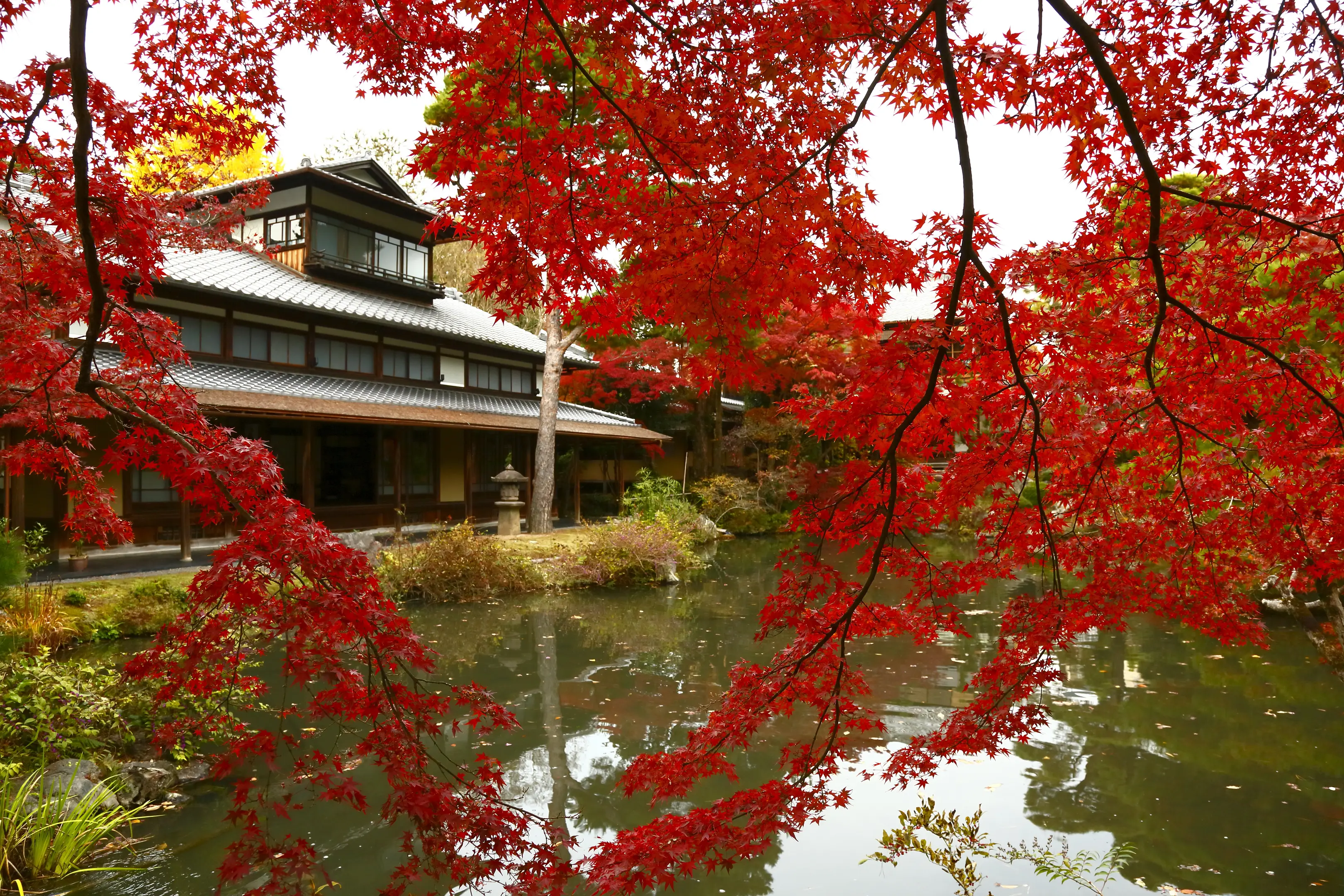 【白沙村荘】紅葉