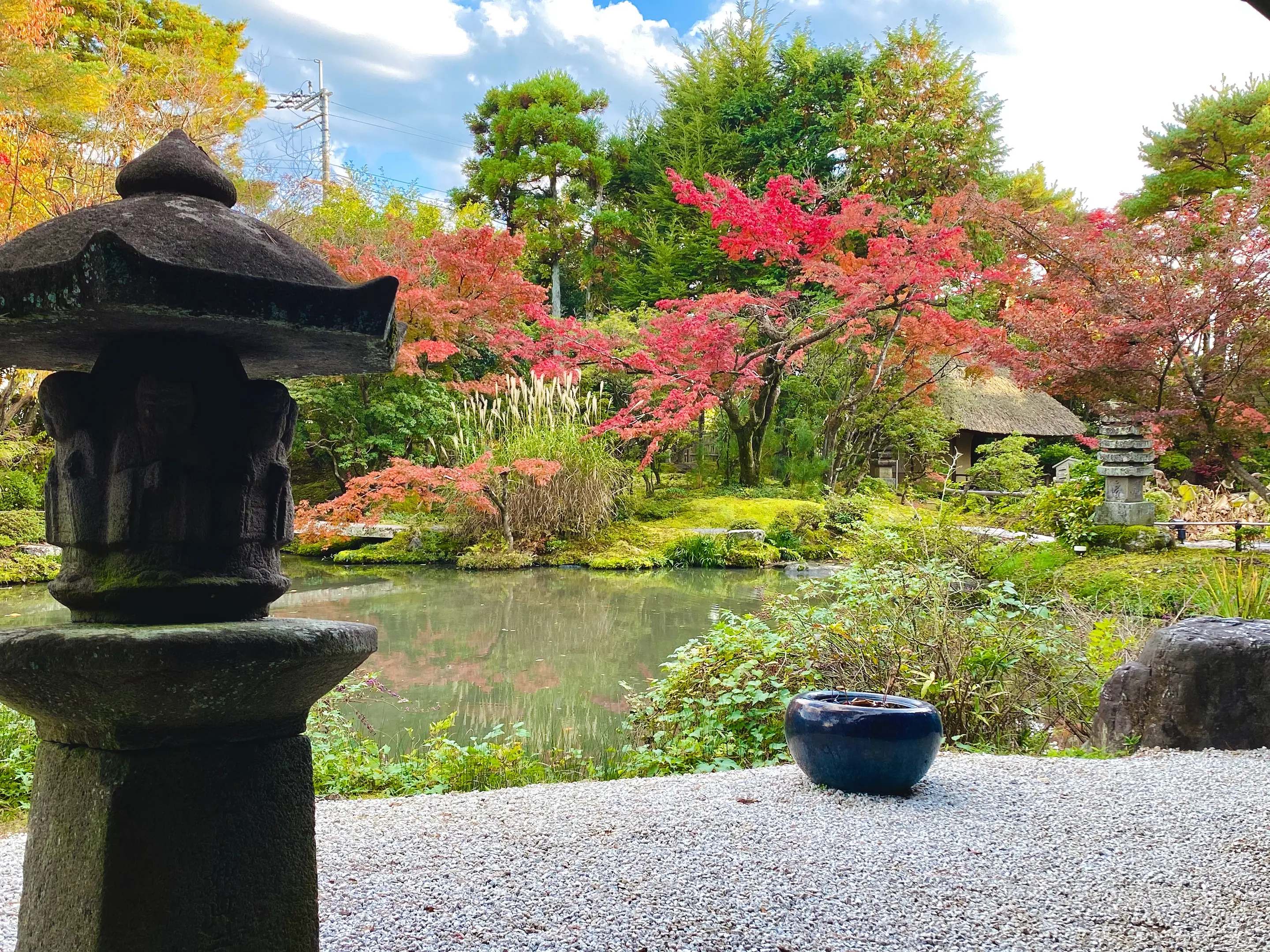 【白沙村荘】紅葉