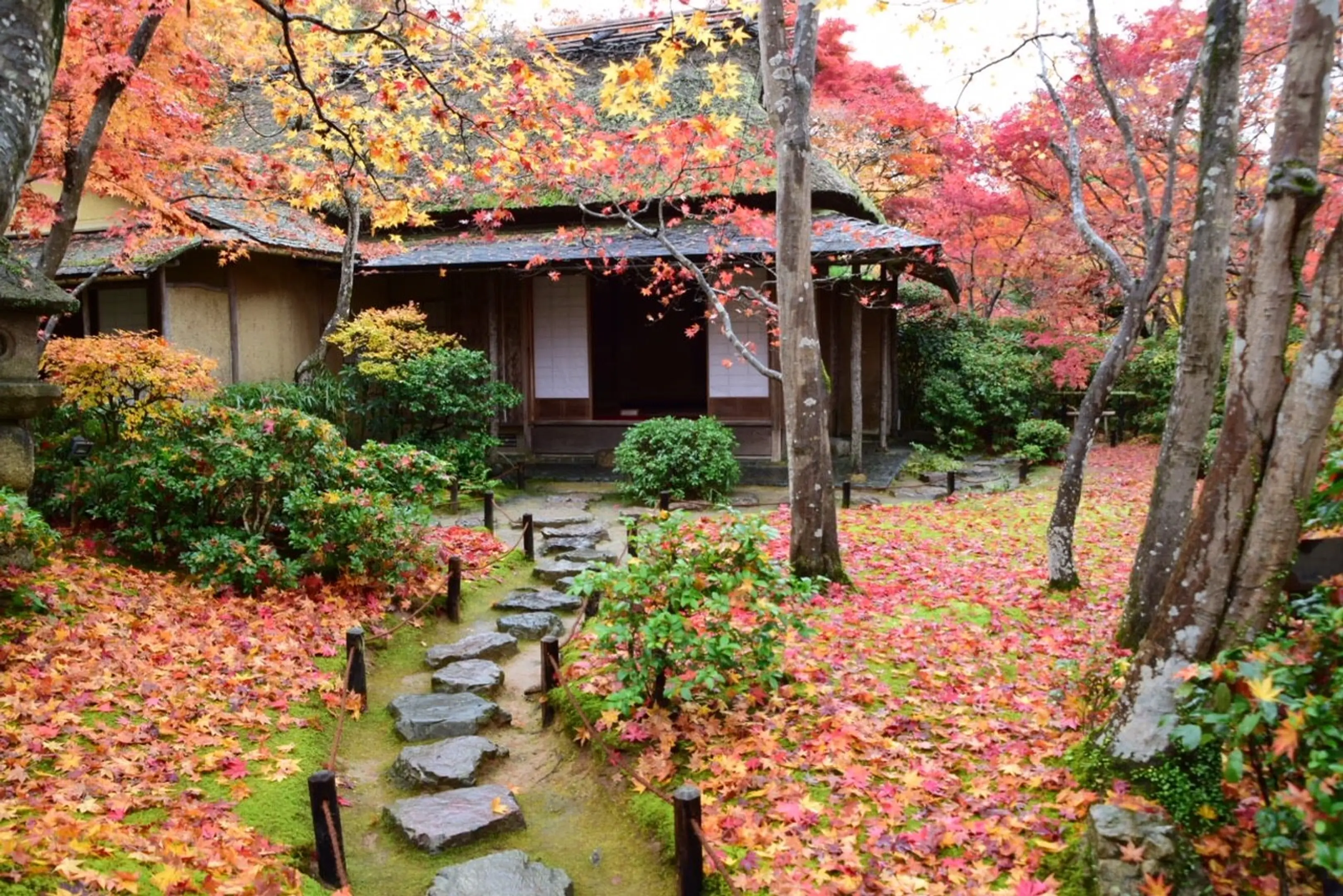 【大河内山荘庭園】紅葉