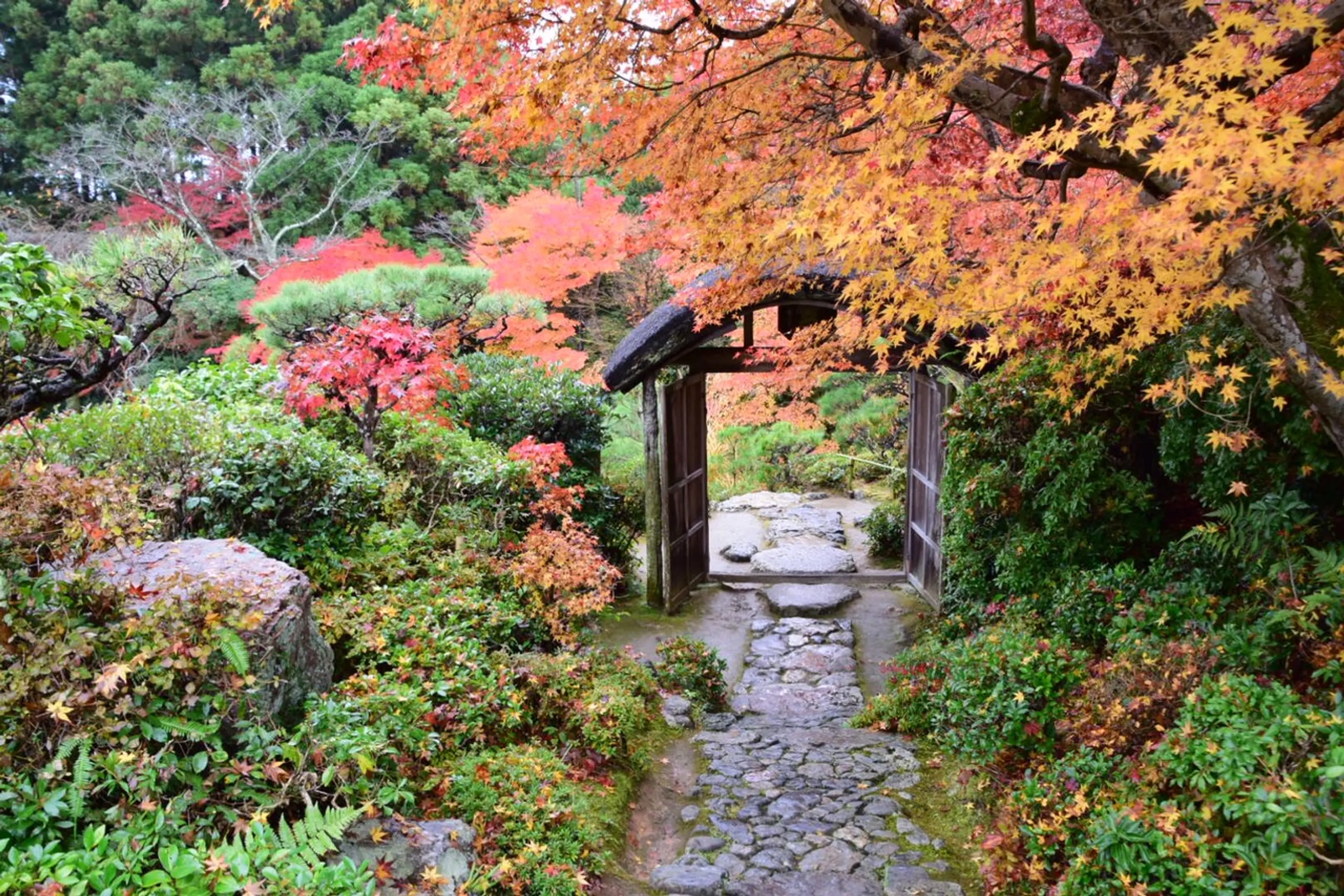 【大河内山荘庭園】紅葉