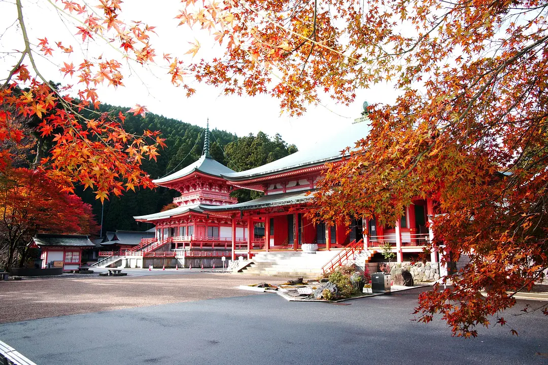 【比叡山延暦寺】紅葉