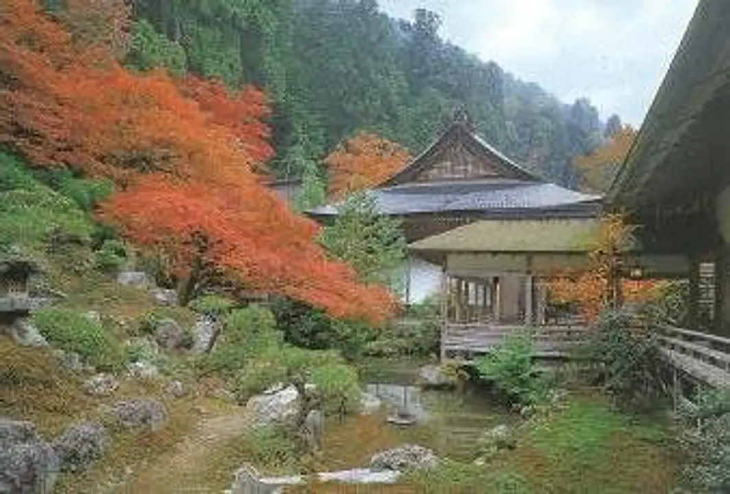 【常照皇寺】紅葉