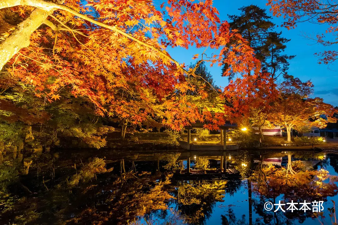 大本本部の紅葉